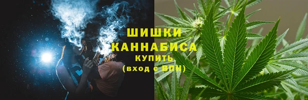 ПСИЛОЦИБИНОВЫЕ ГРИБЫ Богданович