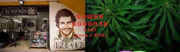 ПСИЛОЦИБИНОВЫЕ ГРИБЫ Богданович
