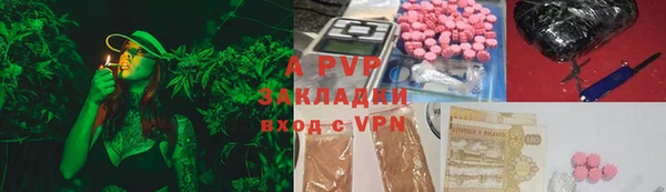 ПСИЛОЦИБИНОВЫЕ ГРИБЫ Богданович