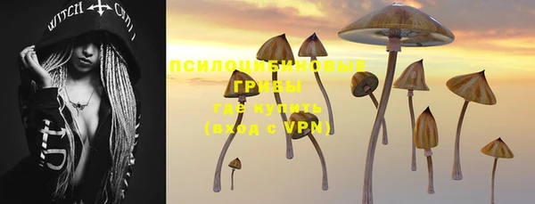 jwh Богородицк