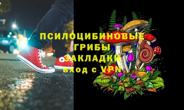 ПСИЛОЦИБИНОВЫЕ ГРИБЫ Богданович