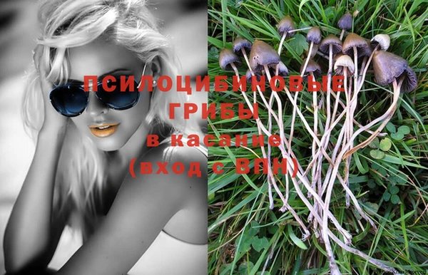 ПСИЛОЦИБИНОВЫЕ ГРИБЫ Богданович